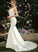 Trumpet/Mermaid Train Wedding Dress Chapel V-neck With Wedding Dresses Lace Jaylene