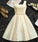 Cute Short Light Champagne Graduation Dress Macey Homecoming Dresses CD12556