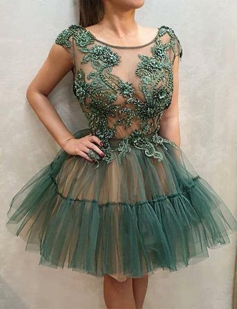 Short Round Neck Homecoming Dresses Leilani Appliques Party Dresses CD22869