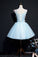 Princess Blue A-Line Short With Eliza Homecoming Dresses Flowers CD24332
