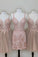 Homecoming Dresses Presley Pink Lace Blush Hoco Dress CD24513